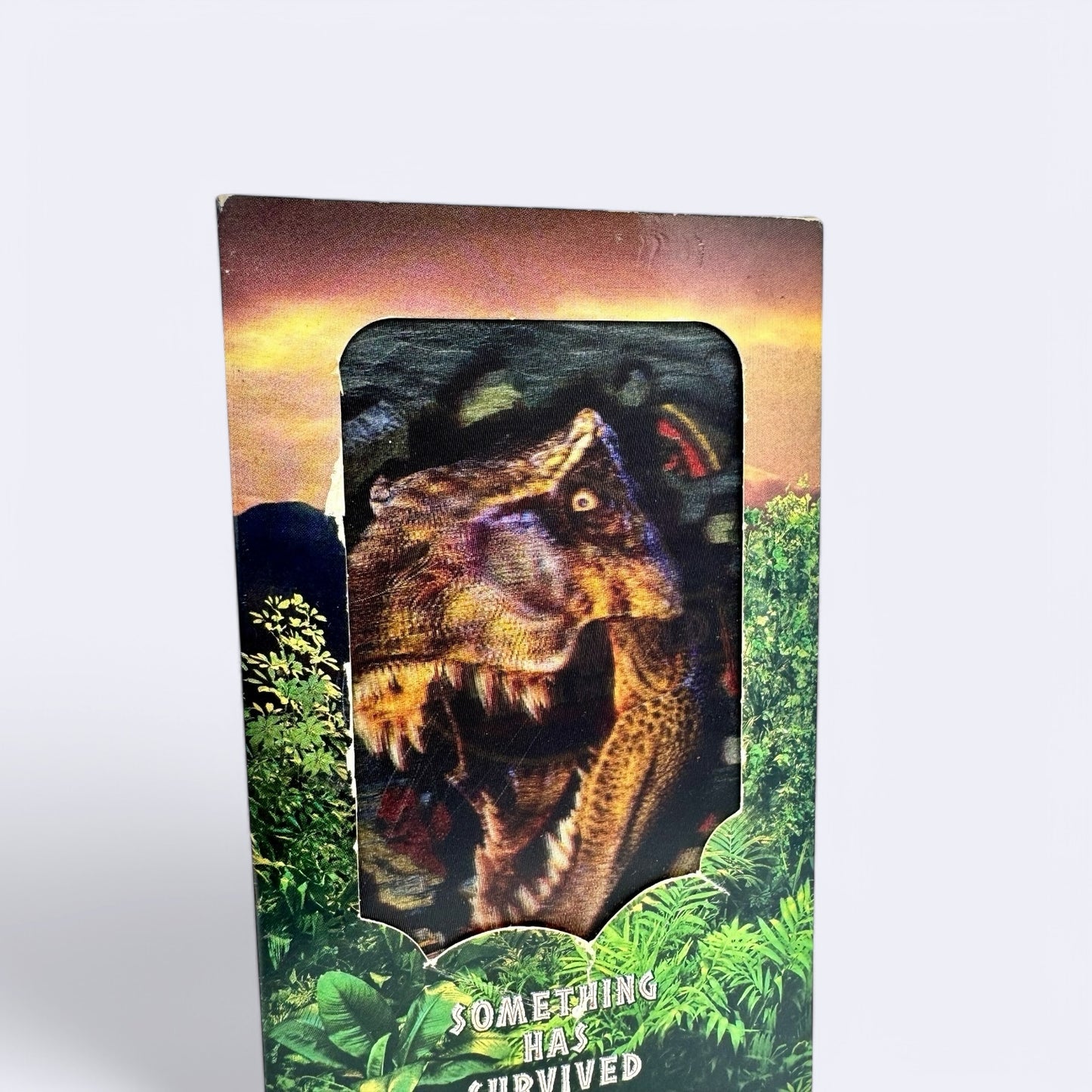 VHS The Lost World
